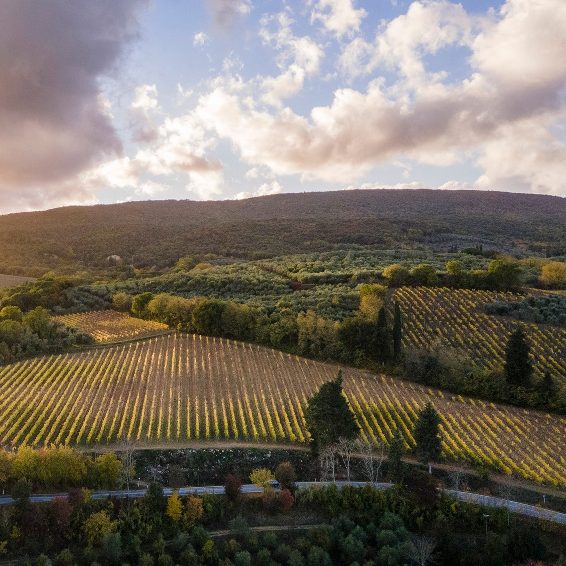 Gutschein Toscana Weinseminar - Print @ Home